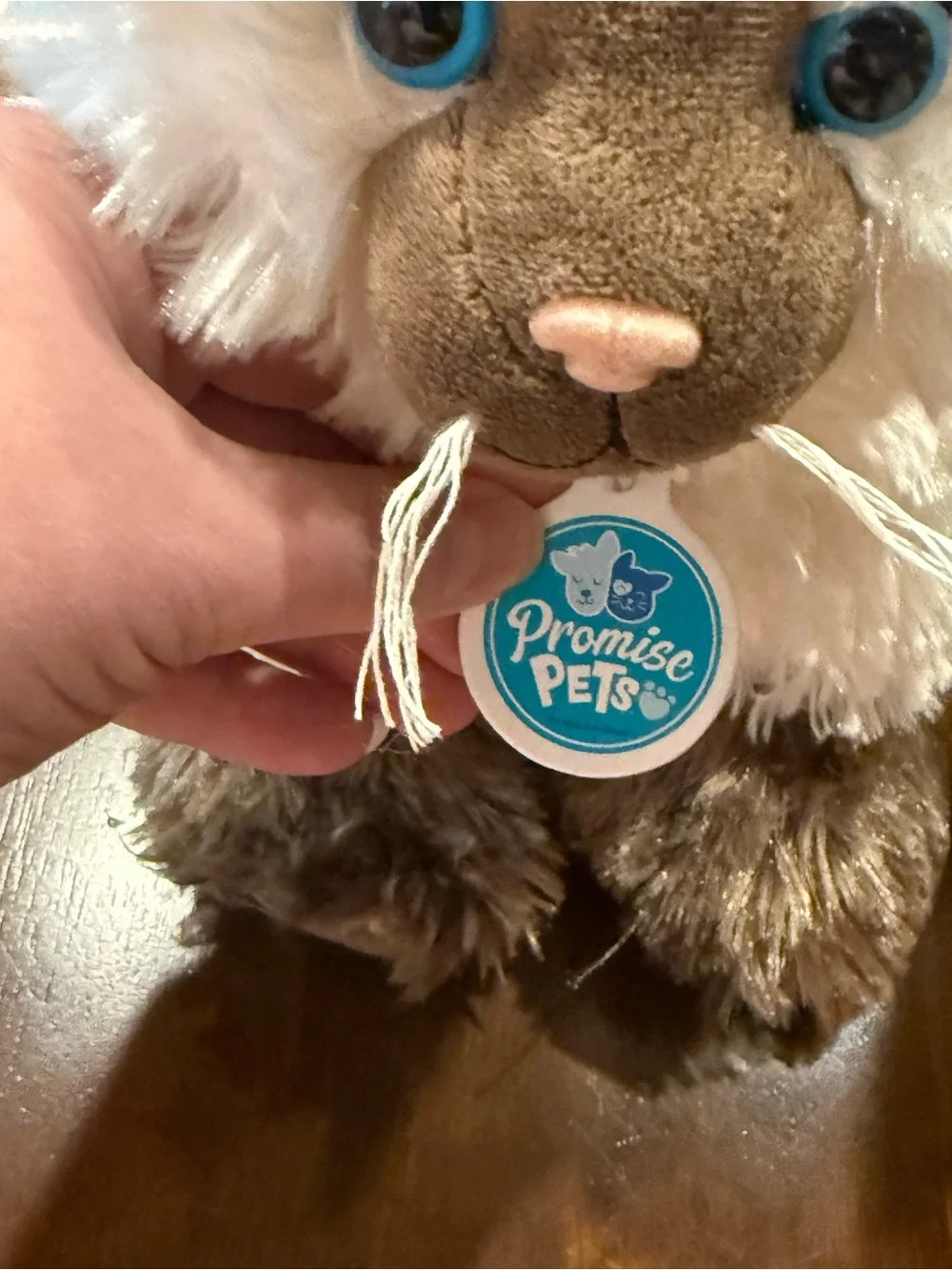 Build-A-Bear Plush Siamese-Style Cat in Cream, Brown and Blue